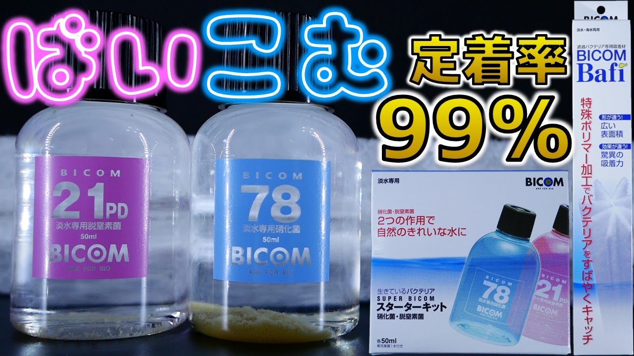 ろ材 定着率99 99 の棒と アンモニアを分解しコケを抑制するバクテリア液 バイコム スーパーバイコムスターターキット バイコムバフィー ふぶきテトラ Youtube