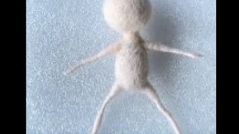 How to make a needle felted Fairy body~