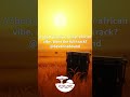 Savanna Sound - Let the earth guide your soul