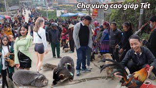 Chợ vùng cao những ngày cuối năm- Bắt gặp cả chồn bạc má - Dúi và Gà rừng bán giá rẻ