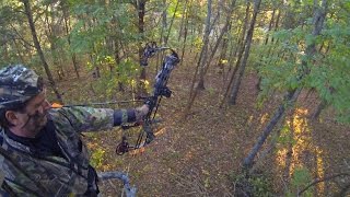 Download Kentucky Deer Archery Season - 3 Tags Filled Video MP3 Kentucky Deer Archery Season - 3 Tags Filled