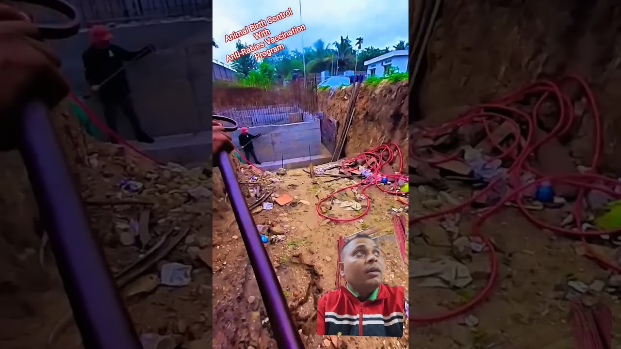 Davangere City Dog Catching Time 