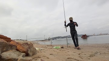 Trải nghiệm câu cá đục ven biển senco 5 hòn gai hạ long