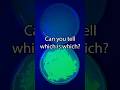Genetically Modifying Bacteria Speed Run
