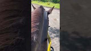 LEWJAH TANI HORSE RIDING PRACTICE