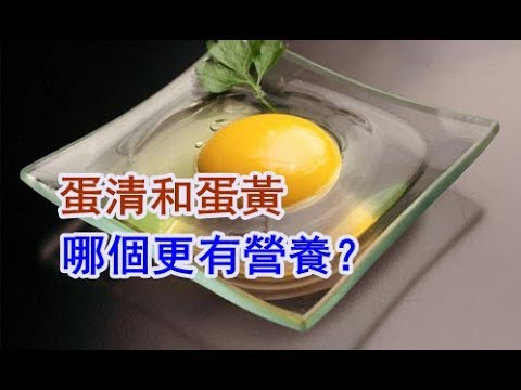 【健康養生】蛋清和蛋黃哪個更有營養？