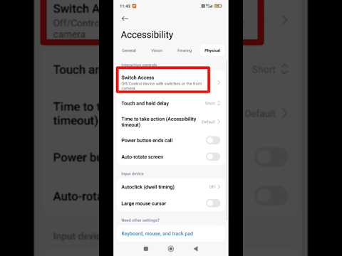 Detect Automatically Meaning