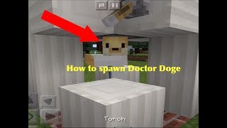 Doctor Doge Addon MCPE screenshot 5