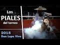 TODOS Los PIALES del Torneo - Don Lupe Vive 2018