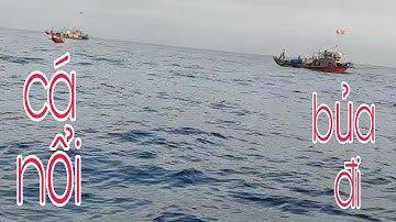 quy trình lưới rut đêm bủa ngày _ cuôc sống dân biển tv