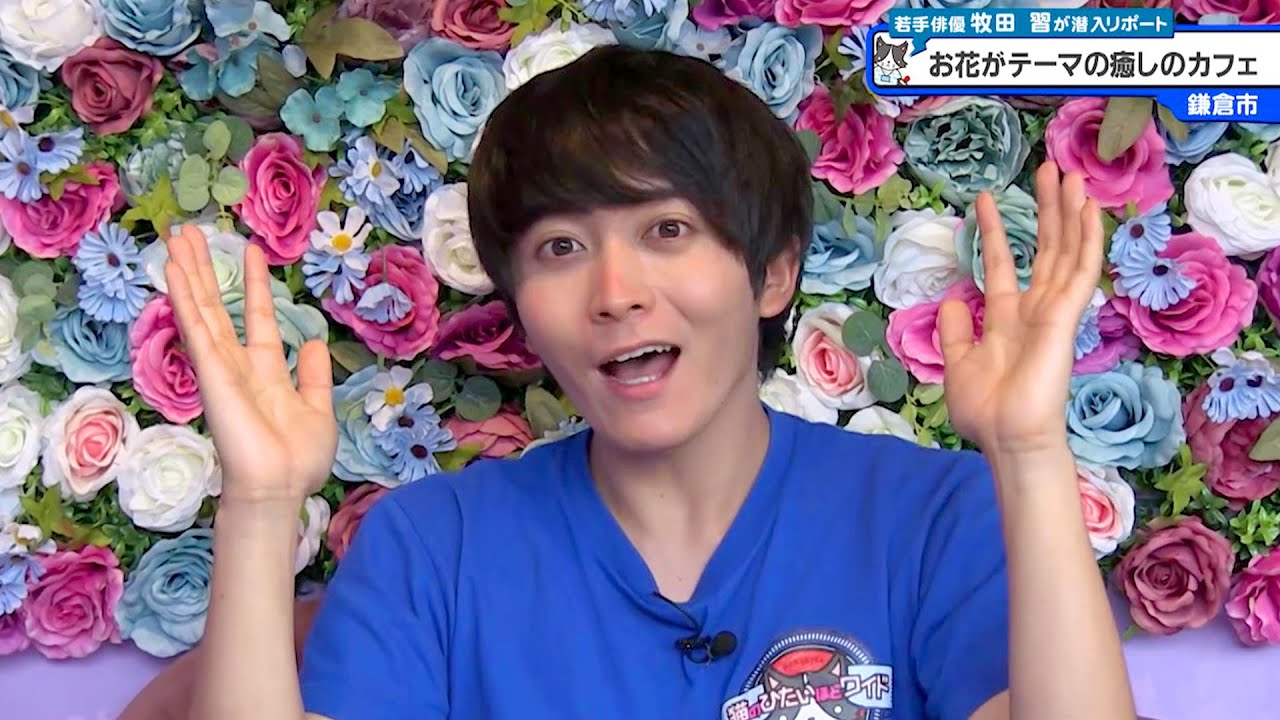 猫のひたいほどワイド #951 リポート大賞・牧田習「可愛いが溢れてる！お花がテーマの癒しのカフェ」（鎌倉市）