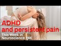 TWiN 44: ADHD and persistent pain