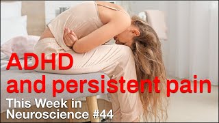 TWiN 44: ADHD and persistent pain