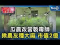 瓜農改當製毒師 揪農友種大麻 市值2億｜TVBS新聞 @TVBSNEWS01