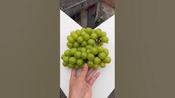 Experiment: Will grapes and watermelons explode when they roll down a tall building? 🍉💥#shorts