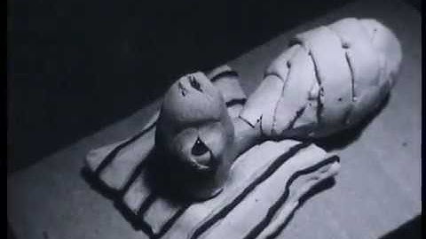 Eraserhead in 60 seconds with clay. (Super8)