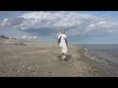 Al Be Sure -  Naturally Mine Video Remake UD Production's