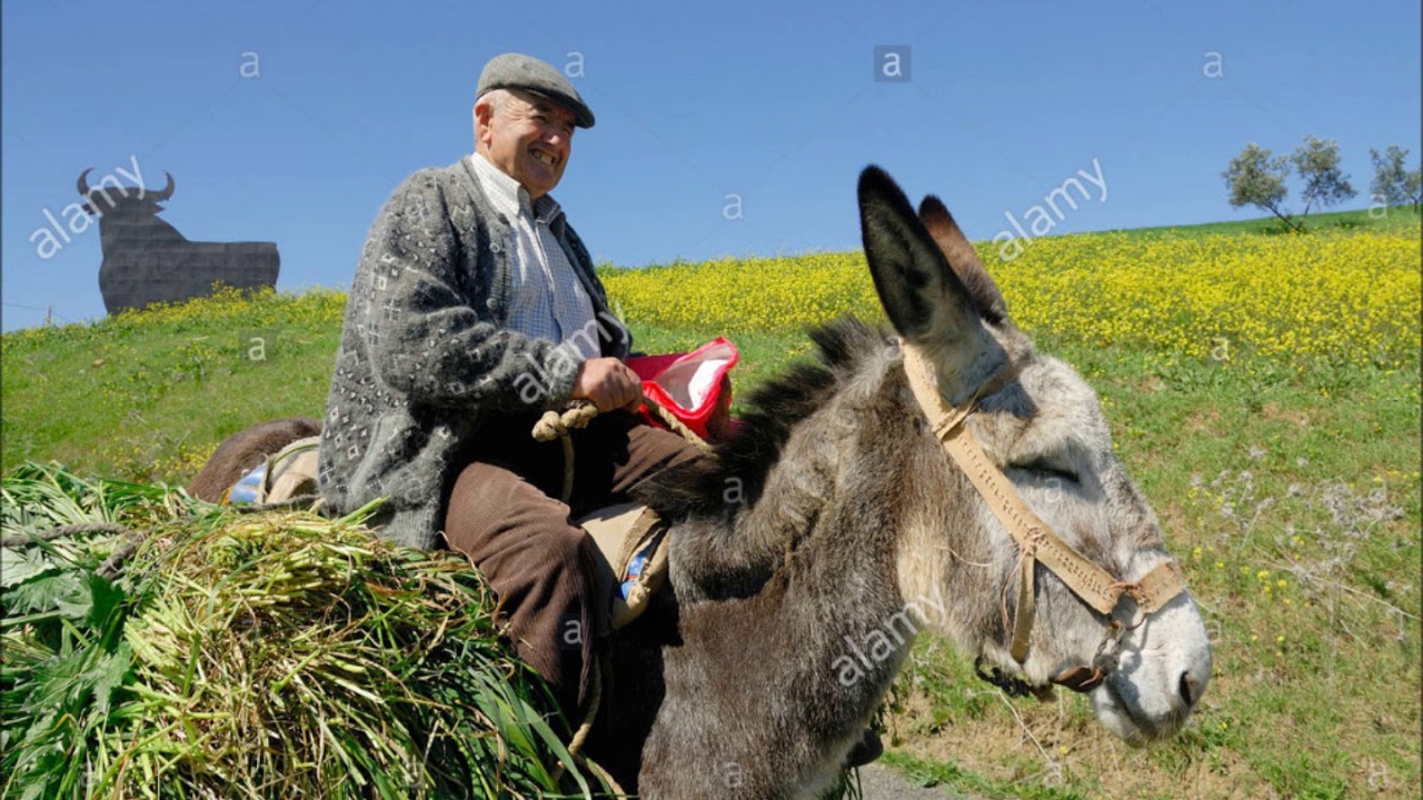 BURL IVES MOCKING BIRD HILL YouTube