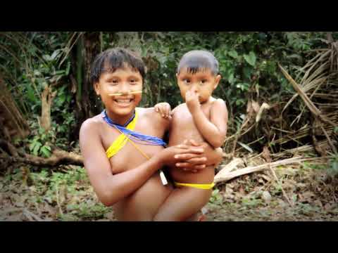 Filhos da Hutukara (Ana Lúcia Mendina 2015) - Documentário