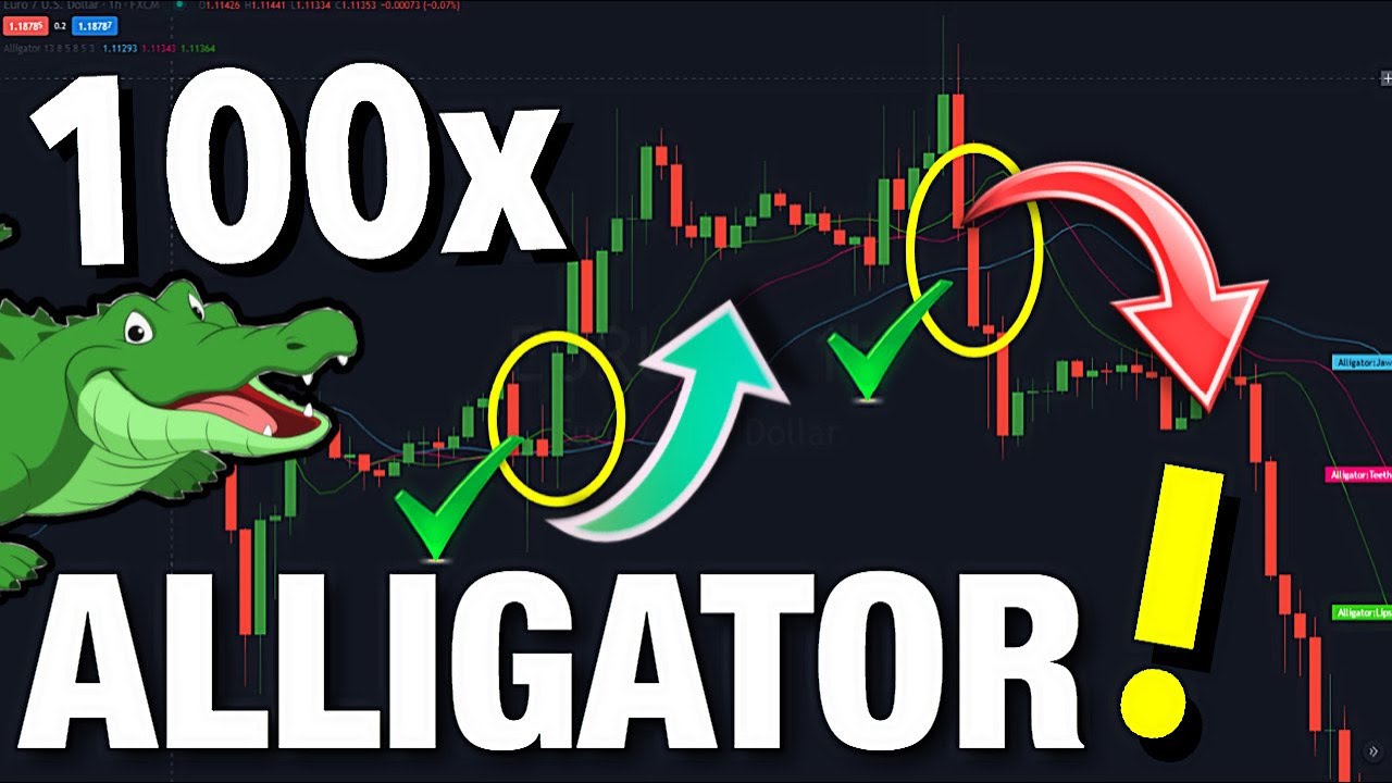 Alligator strategy forex | Back Test 100x