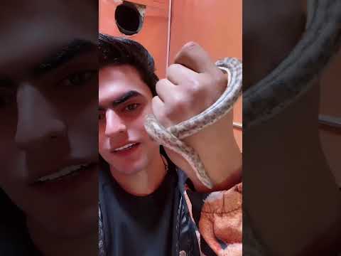 مرت اخو ابو عليو لايك يا ورد