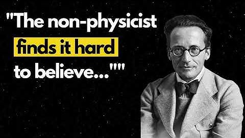 Erwin Schrödinger on the Many Worlds of the Wave Function