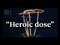 The heroic dose of psychedelics according to johns hopkins  dr matthew johnson