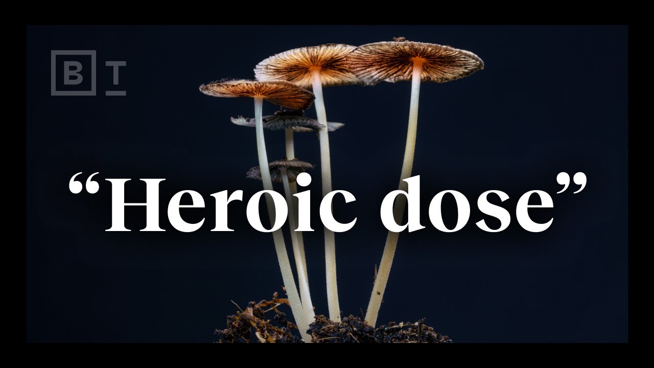 “Johns Hopkins’ Dr. Matthew Johnson Explains the “Heroic Dose” of Psychedelics” – Video