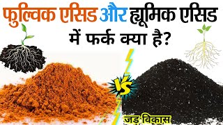 Fulvic Acid और Humic Acid दन म स कनस बसट हहयमक एसड - फलवक एसड म अतर जड वकस