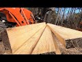 Incredible Lumber from Ugly Logs