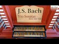 J S Bach Trio Sonatas BWV 525 530