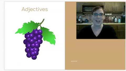 Skills Unit 4 Lesson 17 (grade 1)