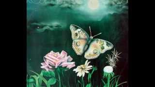 Rosinha De Valença - Os Grilos São Astros - Rosinha De Valença