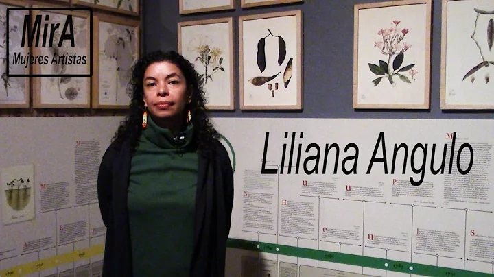 Liliana Angulo / Mujeres Artistas