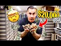 $20K USD En Una Puesta!!!! Piton Bola