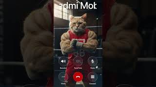 Download Lagu Redmi ringtone \u0026 Cute Kitty 🐱🎶  #catringtone #redmiringtone #shorts MP3