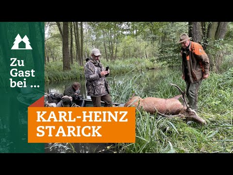 Video: Hirschjagd gehen (mit Bildern)