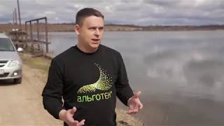 видео: КАК ХЛОРЕЛЛА РАБОТАЕТ В ВОДОЕМЕ? Как увеличить привес рыбы, прекратить цветение и повысить кислород. картинка: КАК ХЛОРЕЛЛА РАБОТАЕТ В ВОДОЕМЕ? Как увеличить привес рыбы, прекратить цветение и повысить кислород.