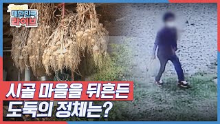 시골 마을을 뒤흔든 도둑의 정체는? KBS 210915 방송