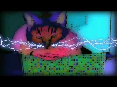 Jesus Kitty- electric god pray sing lord knows i l...