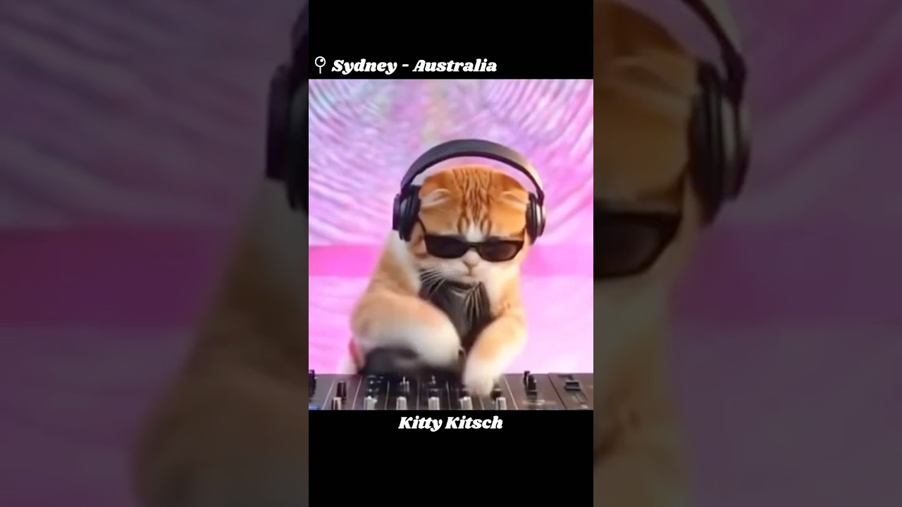 I had fun in Sydney #oiiaoiia