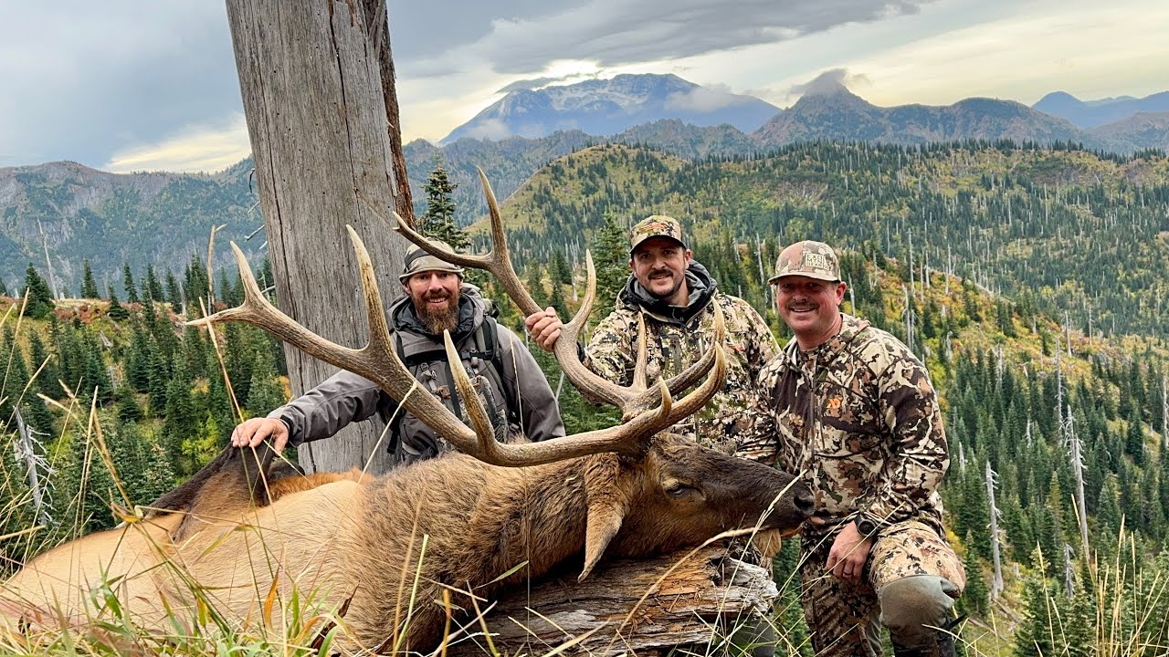 Washington quality bull elk hunt - YouTube