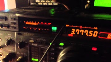 80m 2el vertical array at ED1R