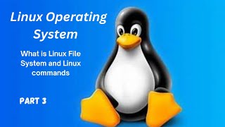 Linux File System Basics: The Essential Linux Commands You Need to Know - Part 3