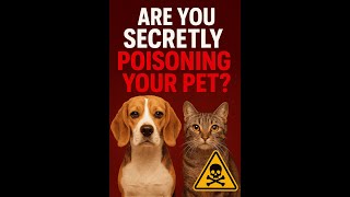Top Signs Your Pet Has Been Poisoned 😱#PetSafety #PetPoisoning #DogHealth #CatHealtا