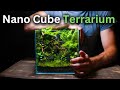 I built an ecosystem inside a nano cube tank step by step tutorial