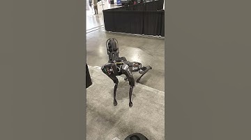 #robotdog #robot #asylon