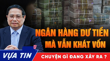 Tiền Chất Đống Mà Không Cho Vay – Ngân Hàng Đang Toan Tính Điều Gì? Chuyên Gia Lên Tiếng Cảnh Báo!
