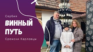 Винный путь в Сремски Карловцы. Винодельни: Vinum, Kis, Kosovic, Петрович, Podrum. 20 вин за день