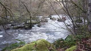 Site Corot River Glane